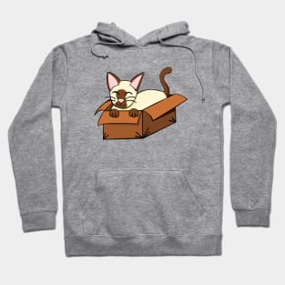 If it Fits I Sits Hoodie